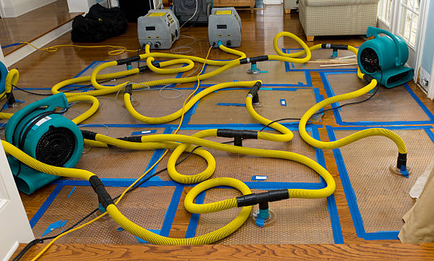 Professional Crawl Space Water Removal technician working in Bayonne, NJ