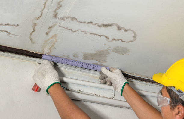 Affordable Water Damage Repair solutions in Bayonne, NJ